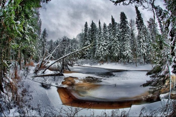 beautiful_winter_20 (700x467, 120Kb)