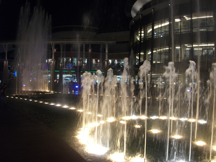 DSCF1215 (700x525, 416Kb)
