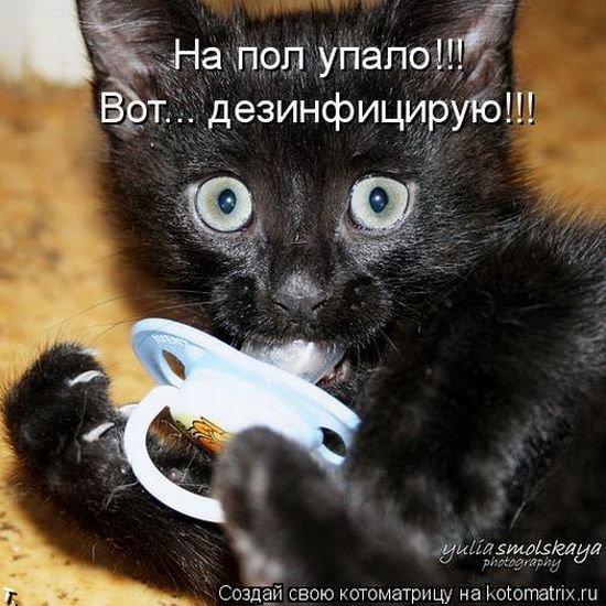 http://img1.liveinternet.ru/images/attach/c/7/94/606/94606007_catmatrix_1120_14.jpg