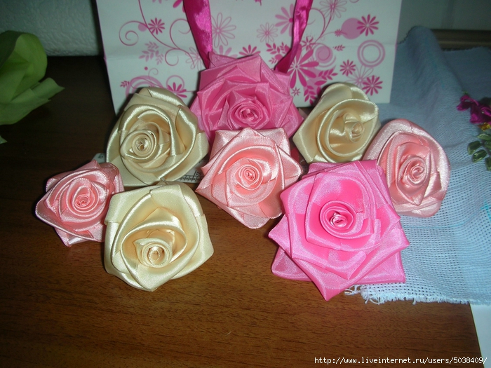 DSCN9970 (700x525, 320Kb)