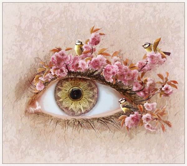 1279725855_sakura_eye_by_mary_petroff (600x535, 79Kb)