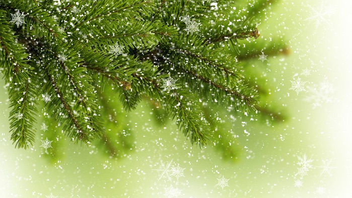1354476244_0-1 (700x393, 106Kb)