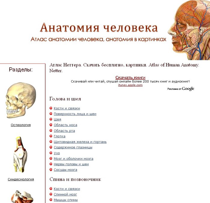 Анатомия человека читать онлайн бесплатно с картинками