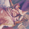cute6 (100x100, 20Kb)