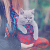 cute11 (100x100, 23Kb)