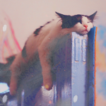 cuteav0 (150x150, 42Kb)