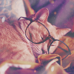 cuteav8 (150x150, 52Kb)
