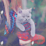 cuteav11 (150x150, 43Kb)