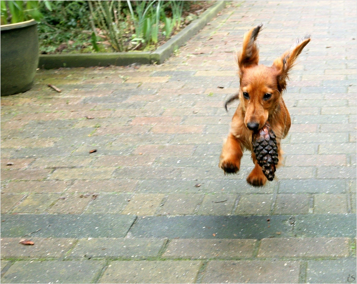 4826692_3146131_large (700x557, 258Kb)