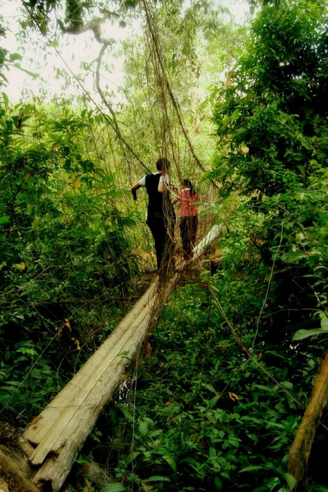 Insane-Hanging-Bridges-2 (466x700, 336Kb)