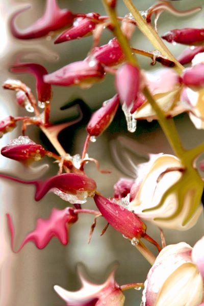 yukkaIVAN_1450 (400x600, 48Kb)