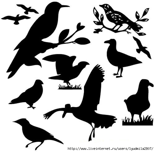 birds (500x488, 78Kb)