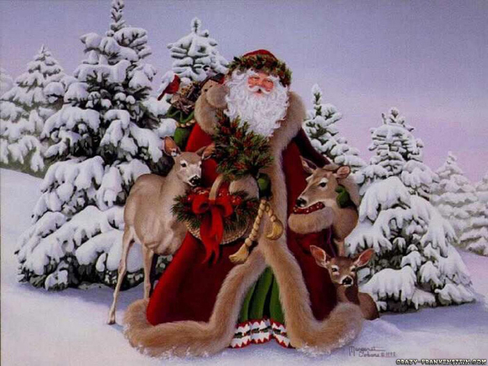 santa-claus-in-forest-1600x1200 (700x525, 345Kb)