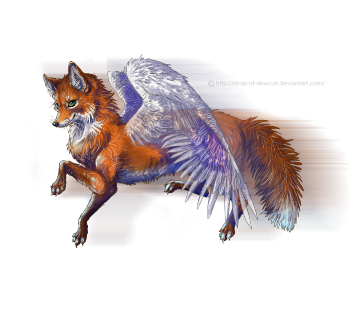 5019858_flying_fox_by_drop_of_dewcatd4u7o91_1_ (700x622, 398Kb)