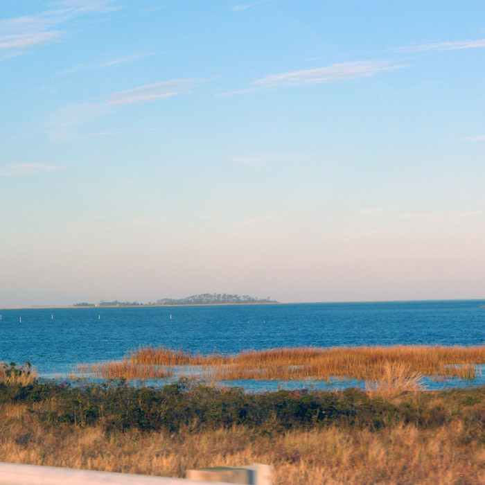 P1010821 (700x700, 132Kb)