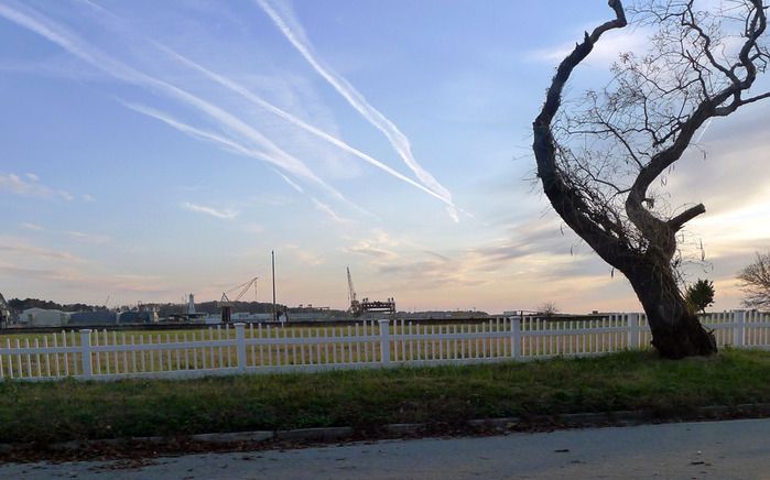 P1010835 (700x436, 103Kb)