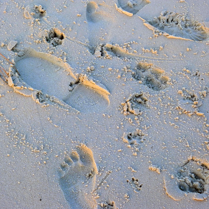 P1010850 (700x700, 287Kb)