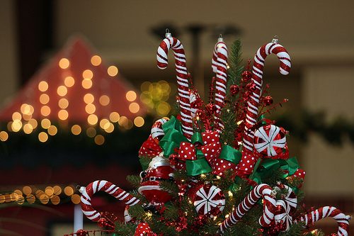 tumblr_lu7c15xRwB1r5l5noo1_500 (500x333, 165Kb)