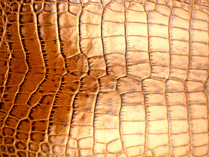 Reptile skin textures (1) (700x525, 680Kb)