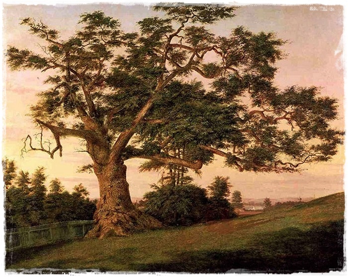 4195696_Oak_Tree_Mural_06 (700x559, 220Kb)