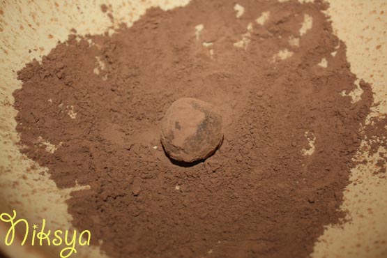 IMG_3315-1 (555x370, 68Kb)