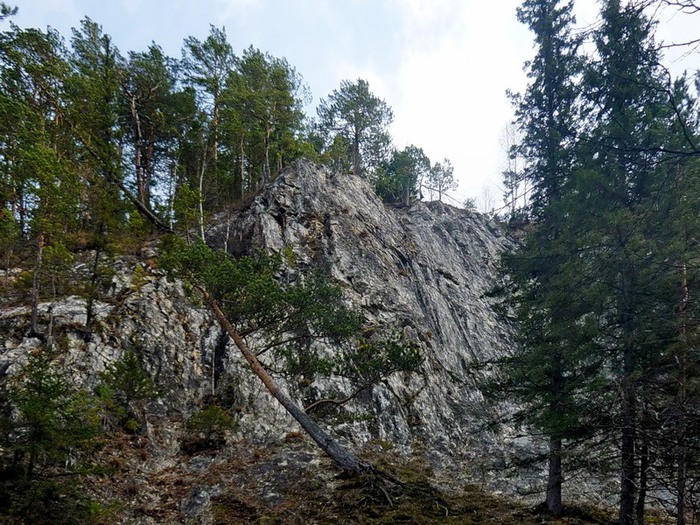 Картинки салаирский кряж