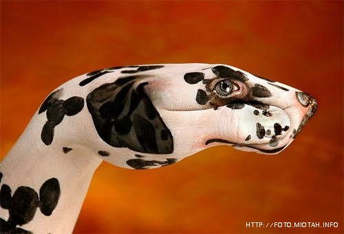 1220120569_04 (500x341, 27Kb)