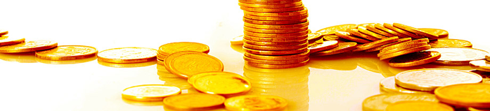 3352215_accountingandfinancial_02 (700x159, 128Kb)