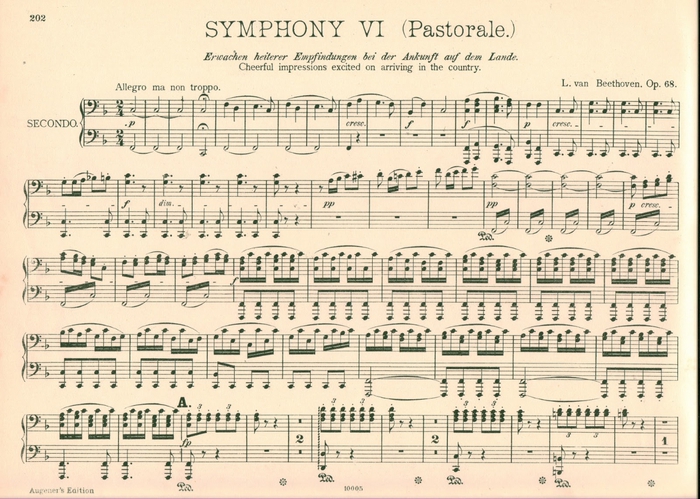1stFF-SymphonieBeethoven4 (700x499, 305Kb)