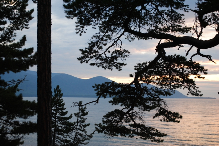 DSC_0822 (700x468, 306Kb)