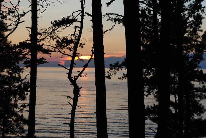 DSC_0933 (700x468, 260Kb)