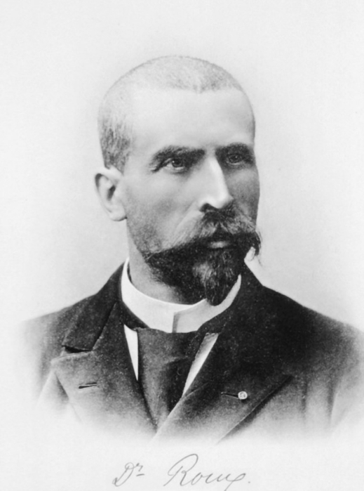 Pierre_Paul_Émile_Roux (519x700, 139Kb)