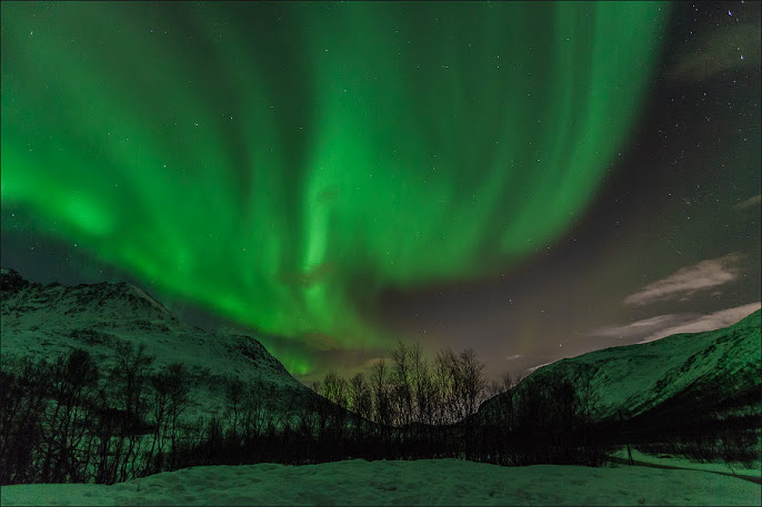    . Northern Lights in Norway polar. (686x457, 74Kb)
