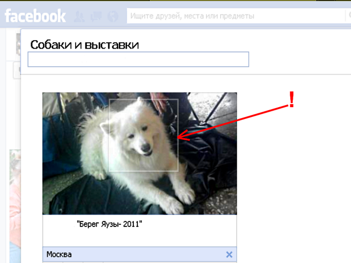 1356343650_Skrinshot_feysbuk (700x525, 188Kb)