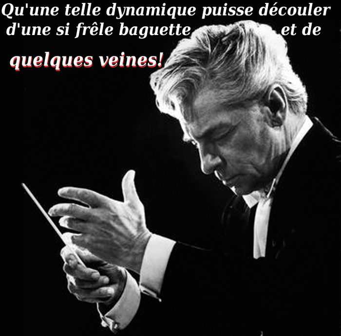 Les veines de von Karajan/5046362_Les_Veines_De_Karajan (700x691, 192Kb)