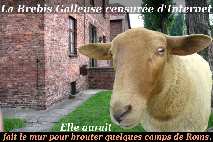 La Brebis Galleuse/5046362_Moutongs (700x466, 181Kb)