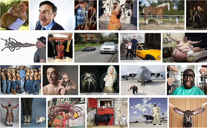    2012 ()/4183438_ginness (700x432, 164Kb)