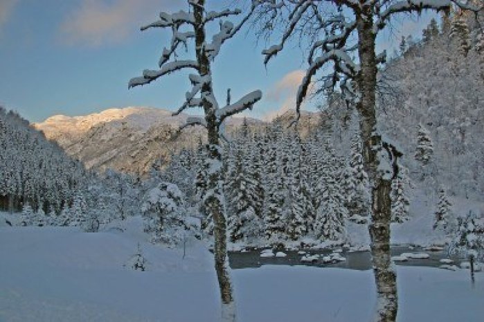 4636678-norwegian-winter-landscape (700x465, 78Kb)