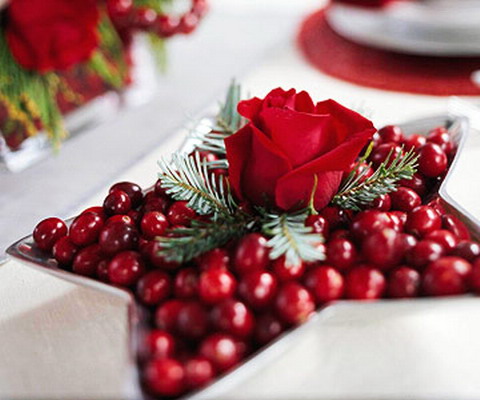 christmas-cranberry-and-red-berries-decorating-combo2-2 (480x400, 51Kb)