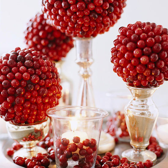 christmas-cranberry-and-red-berries-decorating-shape1-1 (550x550, 92Kb)