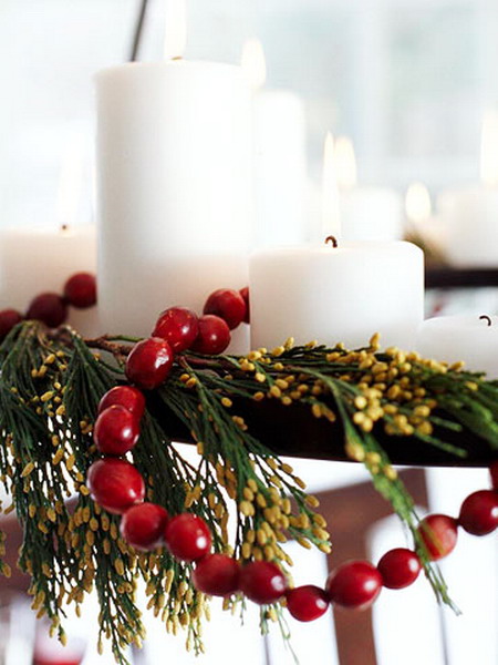 christmas-cranberry-and-red-berries-decorating-shape2-1 (450x600, 69Kb)