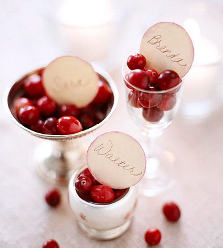 christmas-cranberry-and-red-berries-decorating-misc2-6 (450x500, 45Kb)