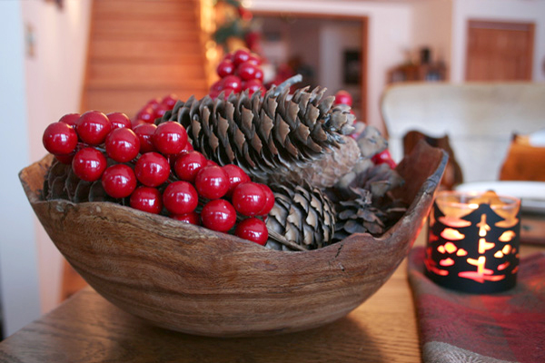 christmas-cranberry-and-red-berries-decorating-misc3-2 (600x400, 176Kb)