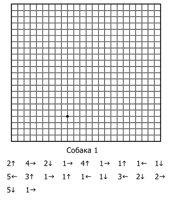 graf_d_2_sobaka_1 (600x700, 151Kb)