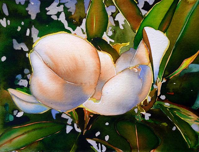 magnoliaflower (640x490, 84Kb)