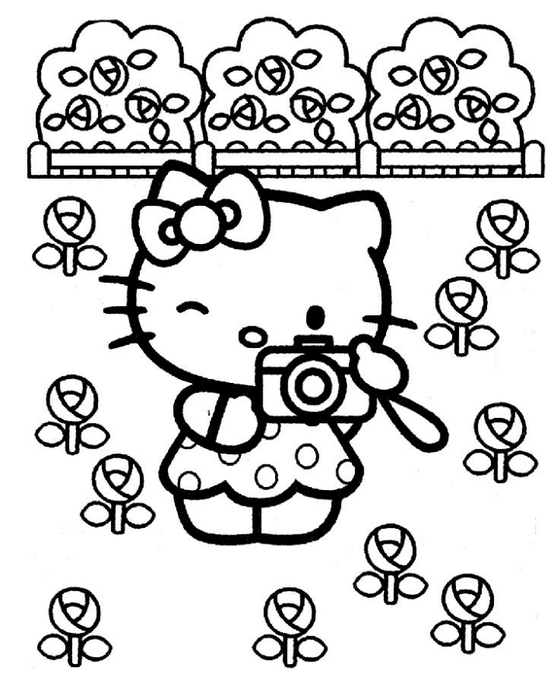 Hello Kitty (84) (557x700, 175Kb)