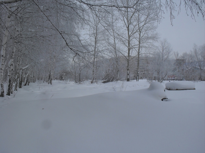 SDC18261 (700x525, 251Kb)