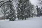  IMG_0478 (700x467, 410Kb)