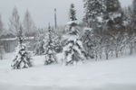  IMG_0486 (700x467, 304Kb)