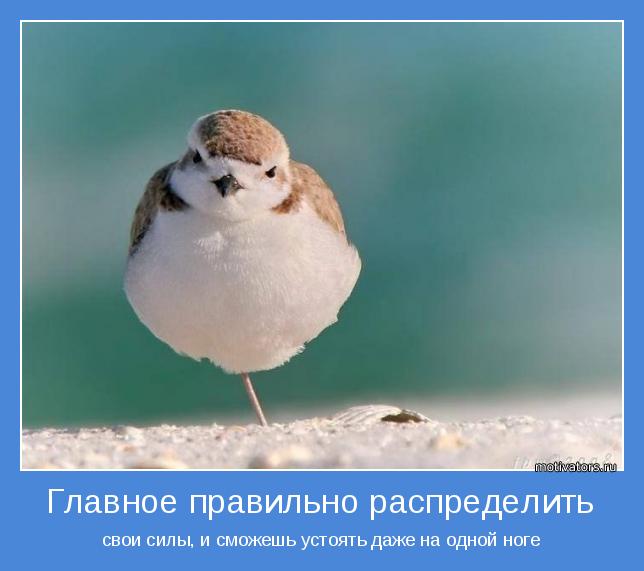 4692251_motivator43796 (644x571, 33Kb)